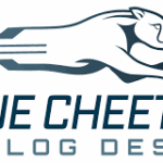 Blue Cheetah – D2D IP Subsystems for Advanced and Standard Packaging Applications