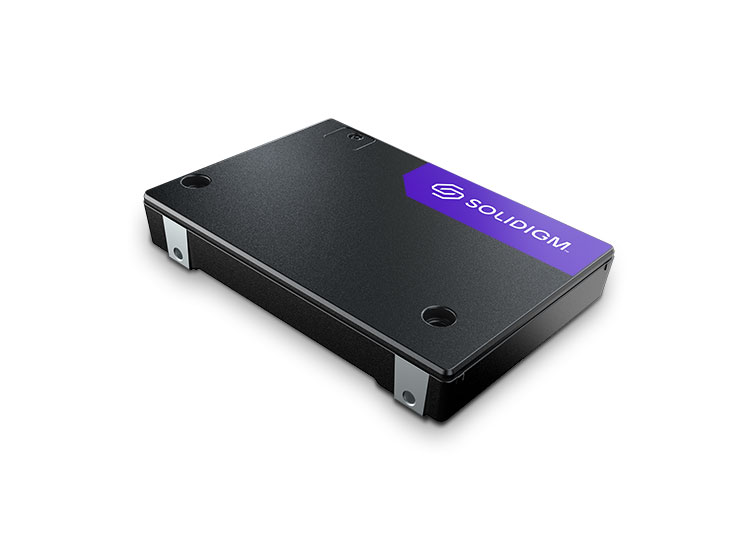Solidigm™ D7-PS1010 SSD