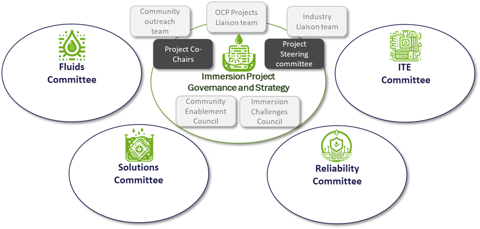 Immersion Organizational Structure and Governance